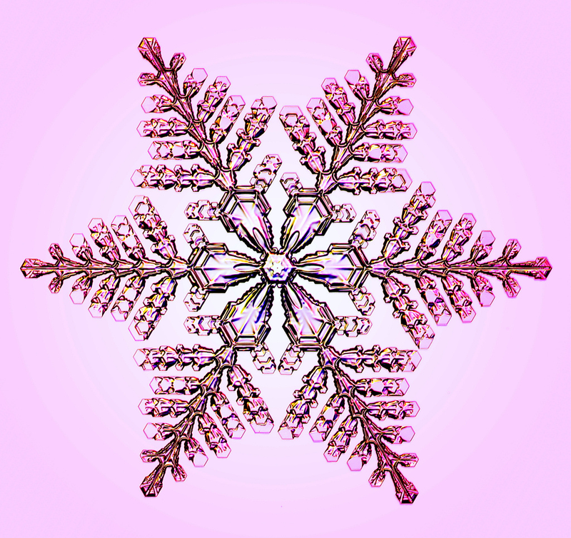 Illustration for article titled This Physicist Makes Dazzling Snowflakes in his Laboratory